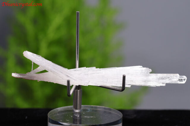 スコレサイト原石(W993)