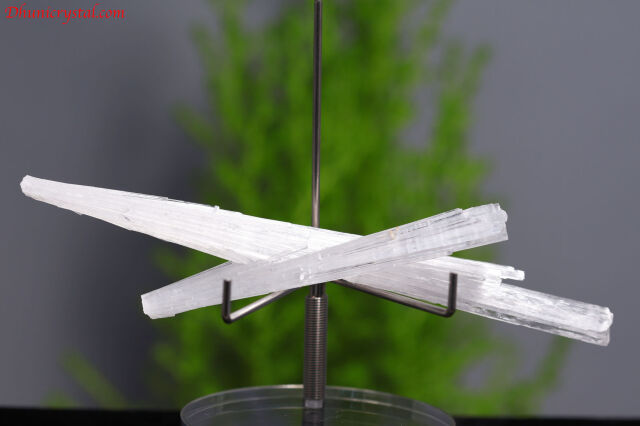 スコレサイト原石(W996)