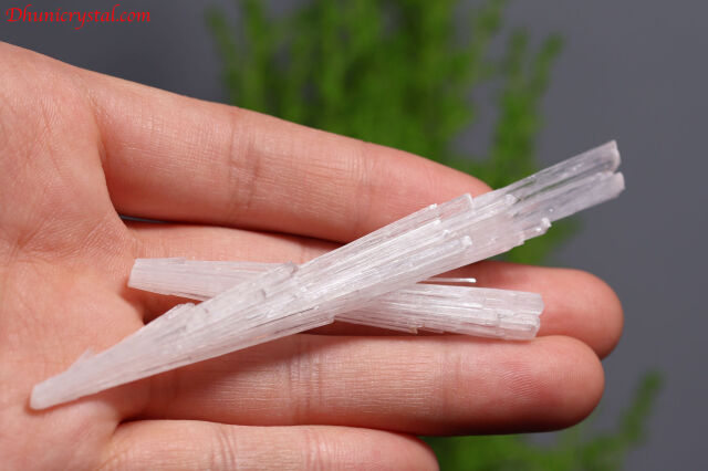 スコレサイト原石(W996)