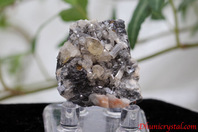 共生鉱物/セルサイト&バライト&ガレナ(Y384)