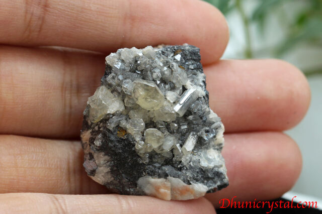 共生鉱物/セルサイト&バライト&ガレナ(Y384)