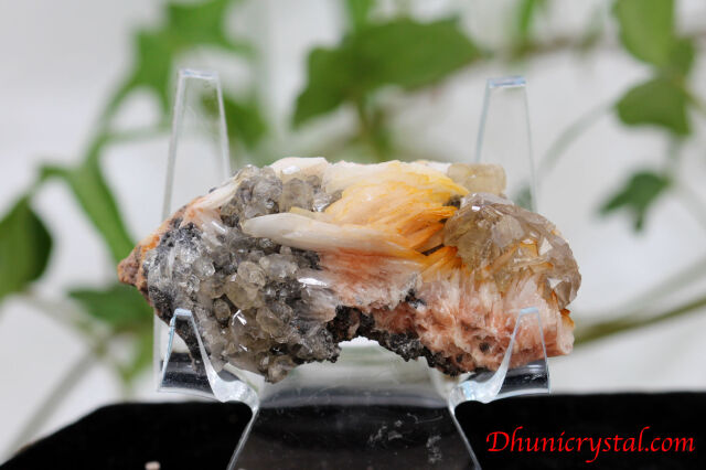 共生鉱物/セルサイト&バライト&ガレナ(Y387)