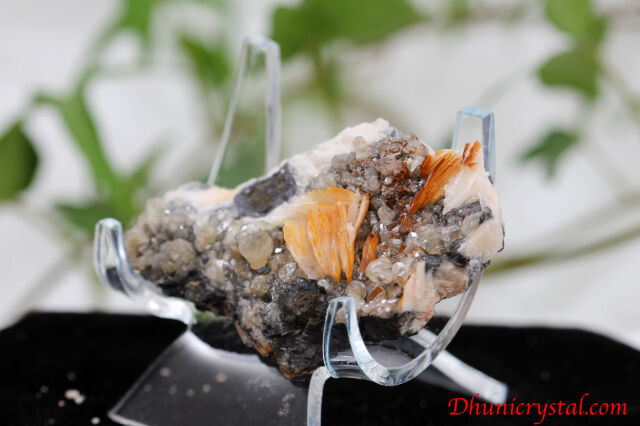 クォーツ パイライト ガレナ 3種共生クラスター 共生鉱物/セルサイト&バライト&ガレナ(Y389)