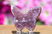 アメジスト/クラスター/バタフライ(A491)