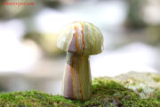 グリーンオニキスのきのこ(T301)