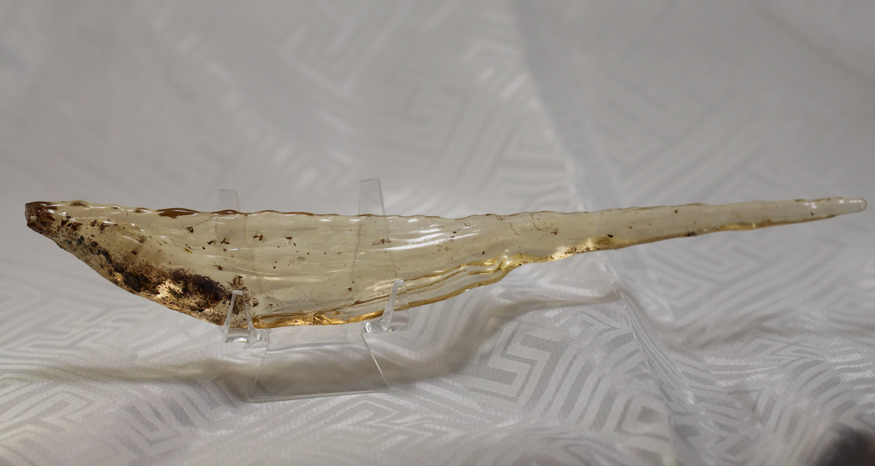 虫入りコパル(アンバー)/虫入り琥珀/未研磨(S104)