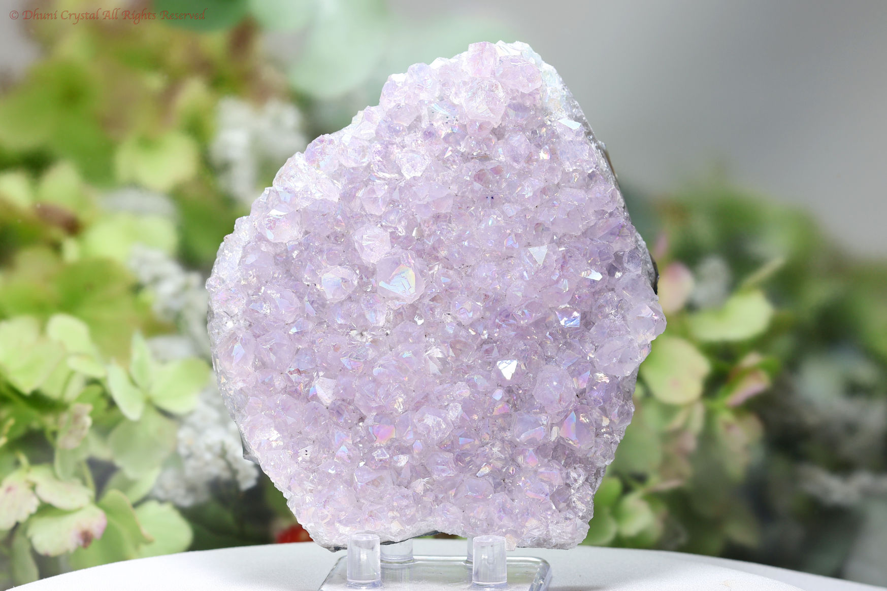 エンジェルオーラ・アメジスト(T109)