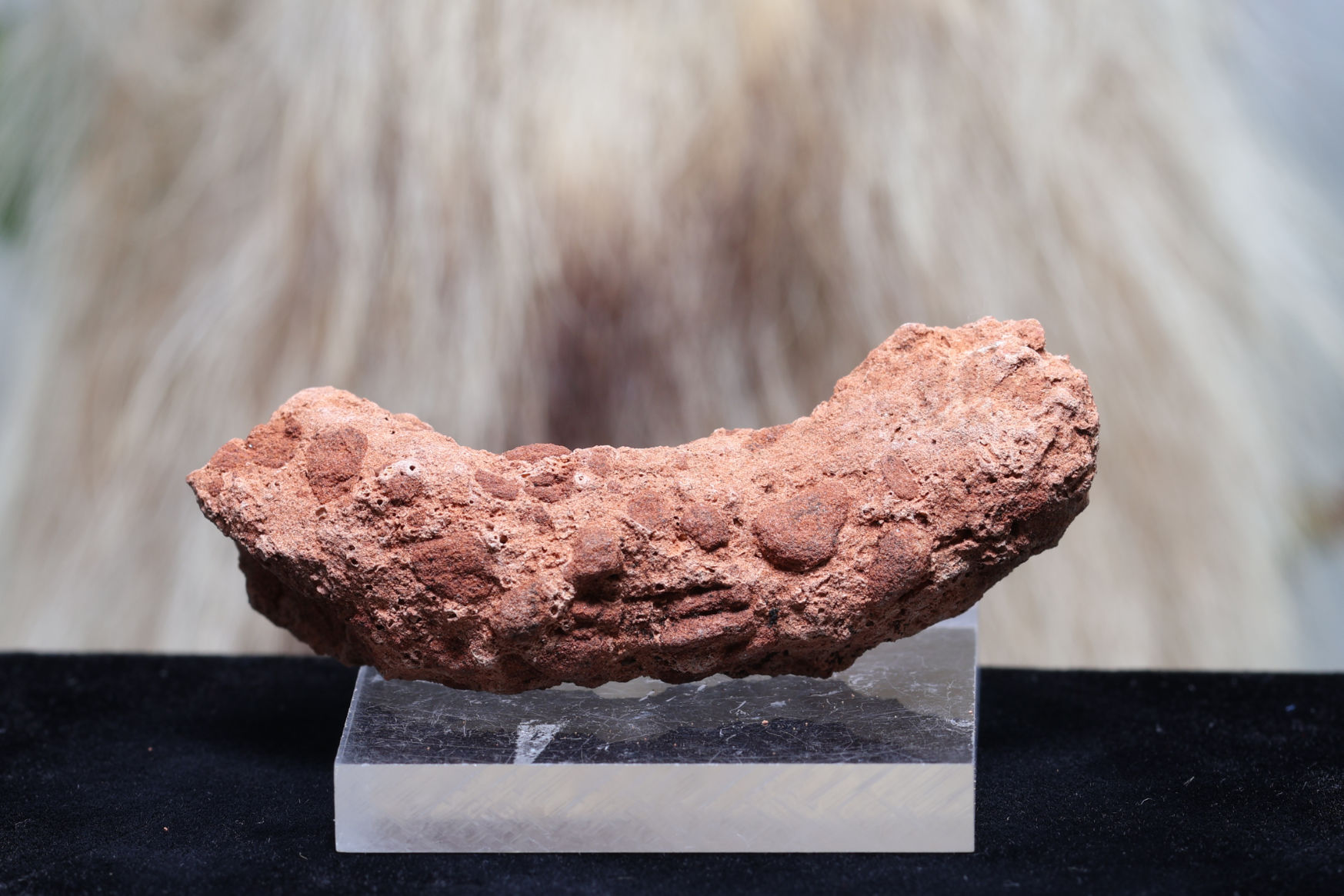 【SOLDOUT】セドナ産のフルグライト/雷管石(T337)