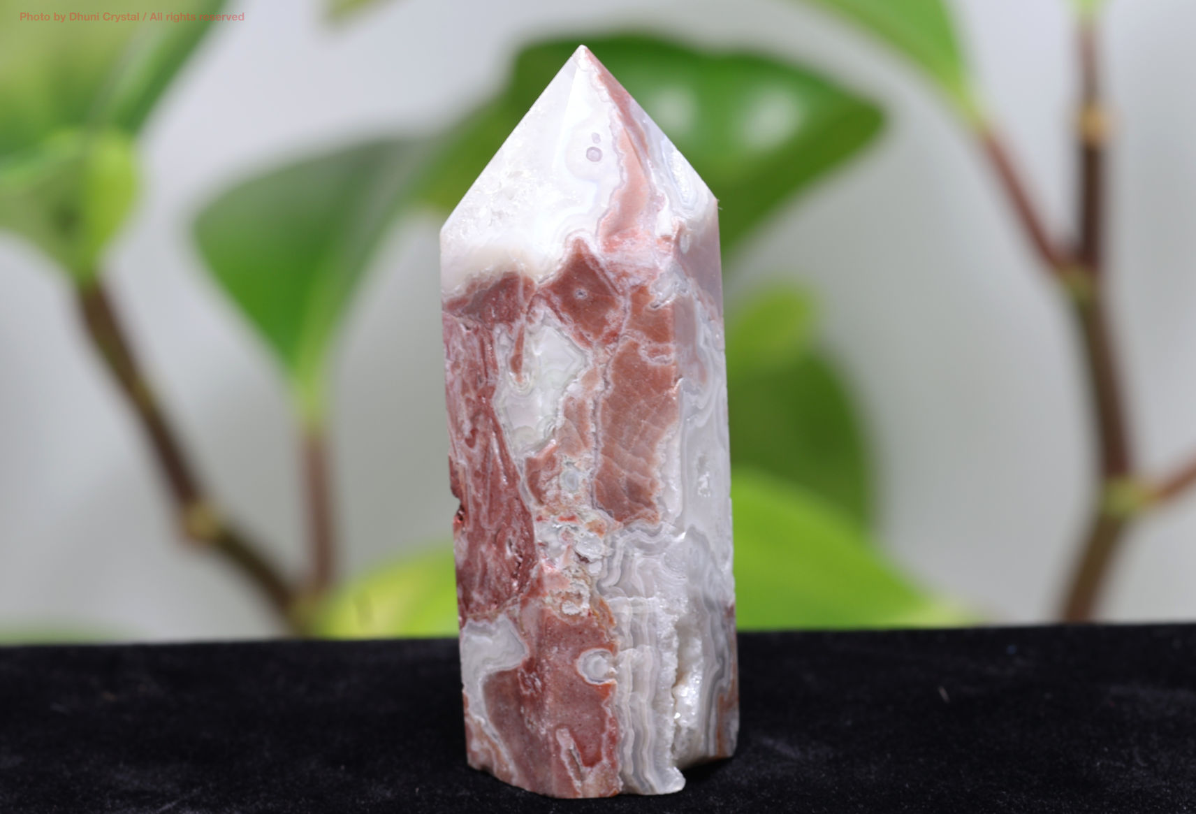 クレイジーレースアゲートのオベリスク(T352)