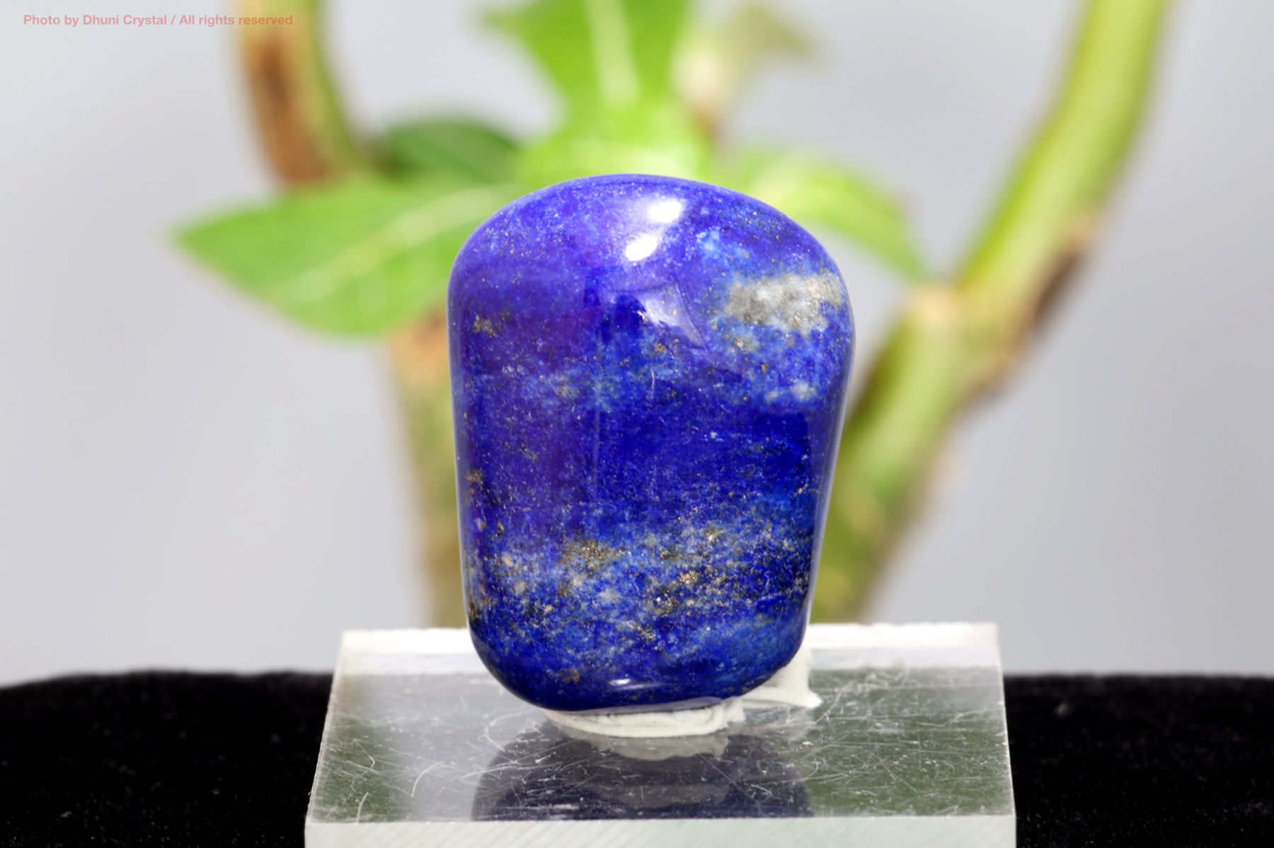 ラピスラズリ/タンブル(T445)