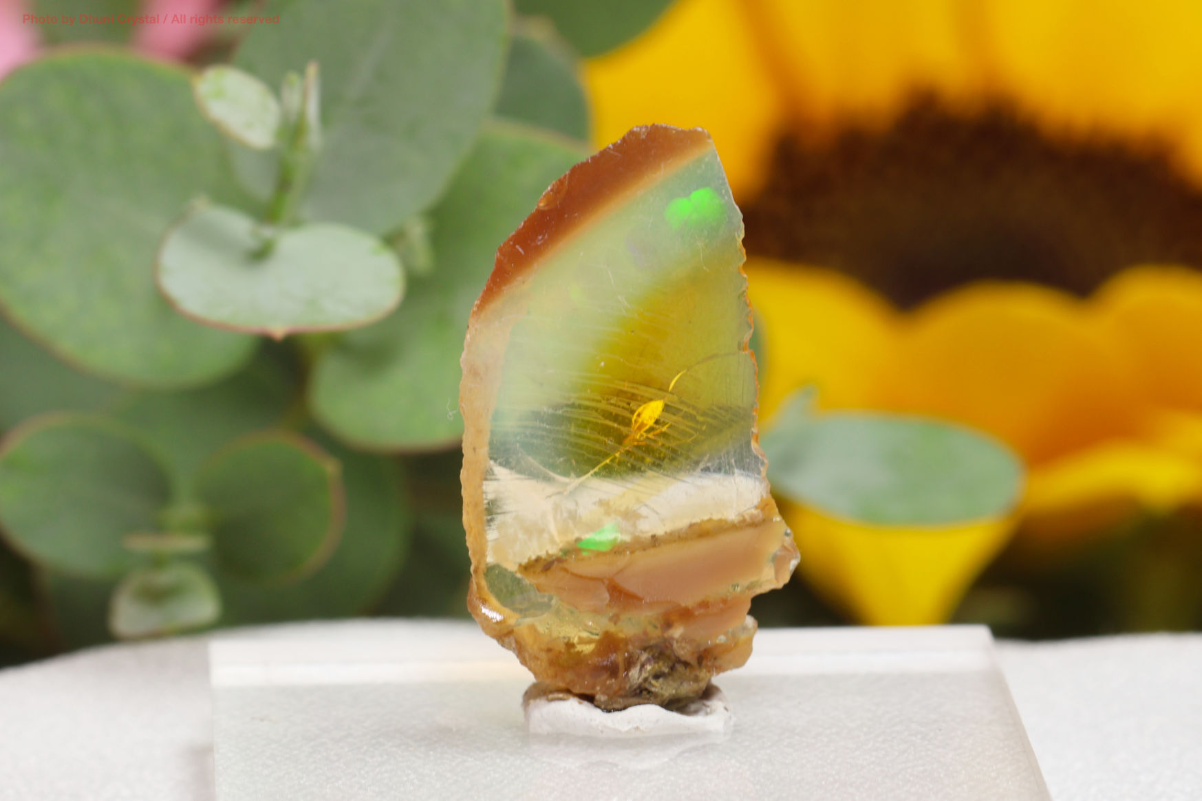 エチオピアンオパール原石(T464)