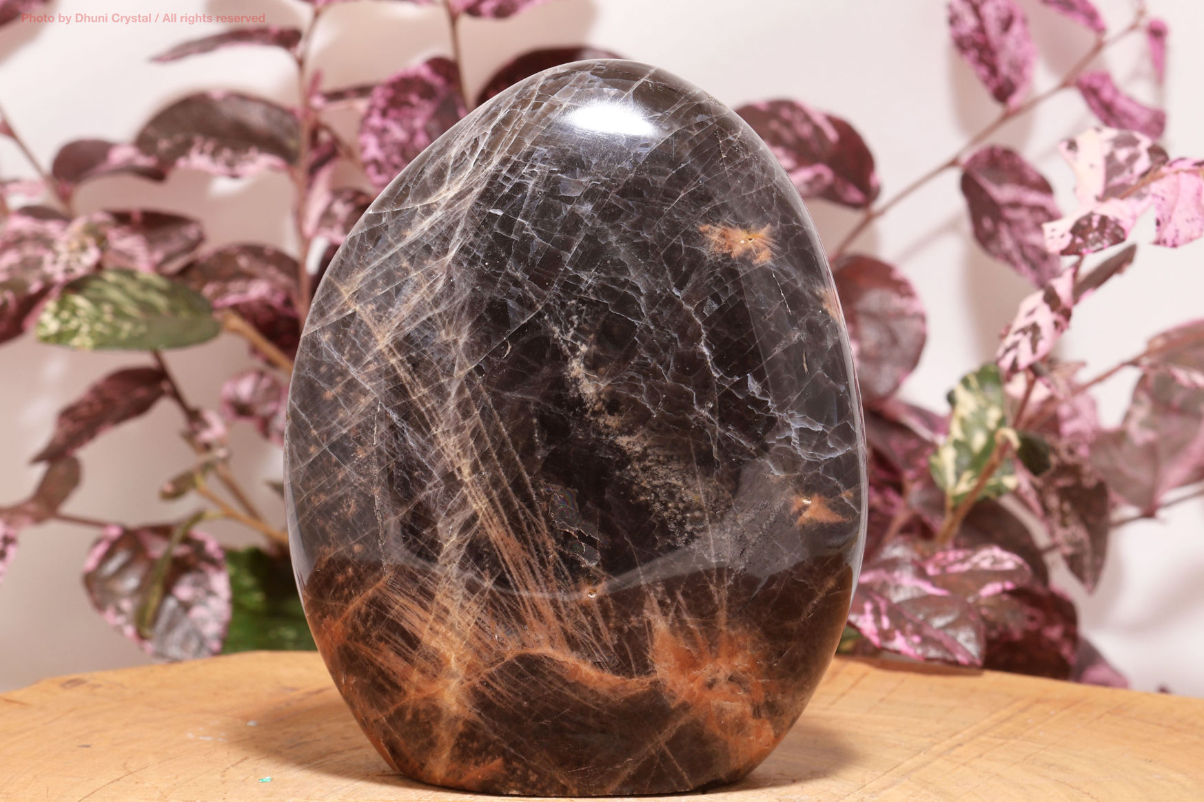 【SOLD OUT！】 ブラックムーンストーン(T484)