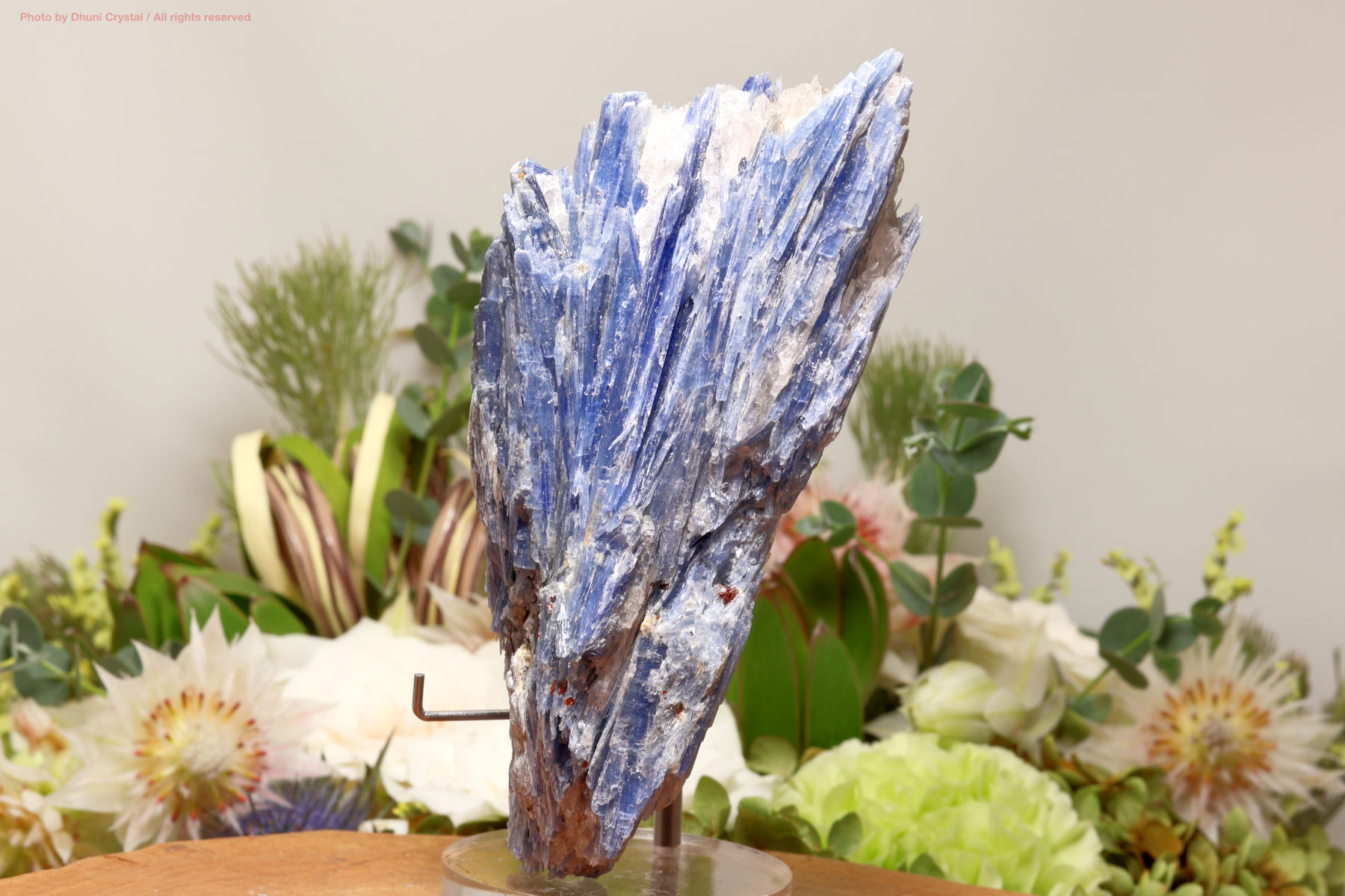 カイヤナイトの原石(T628)