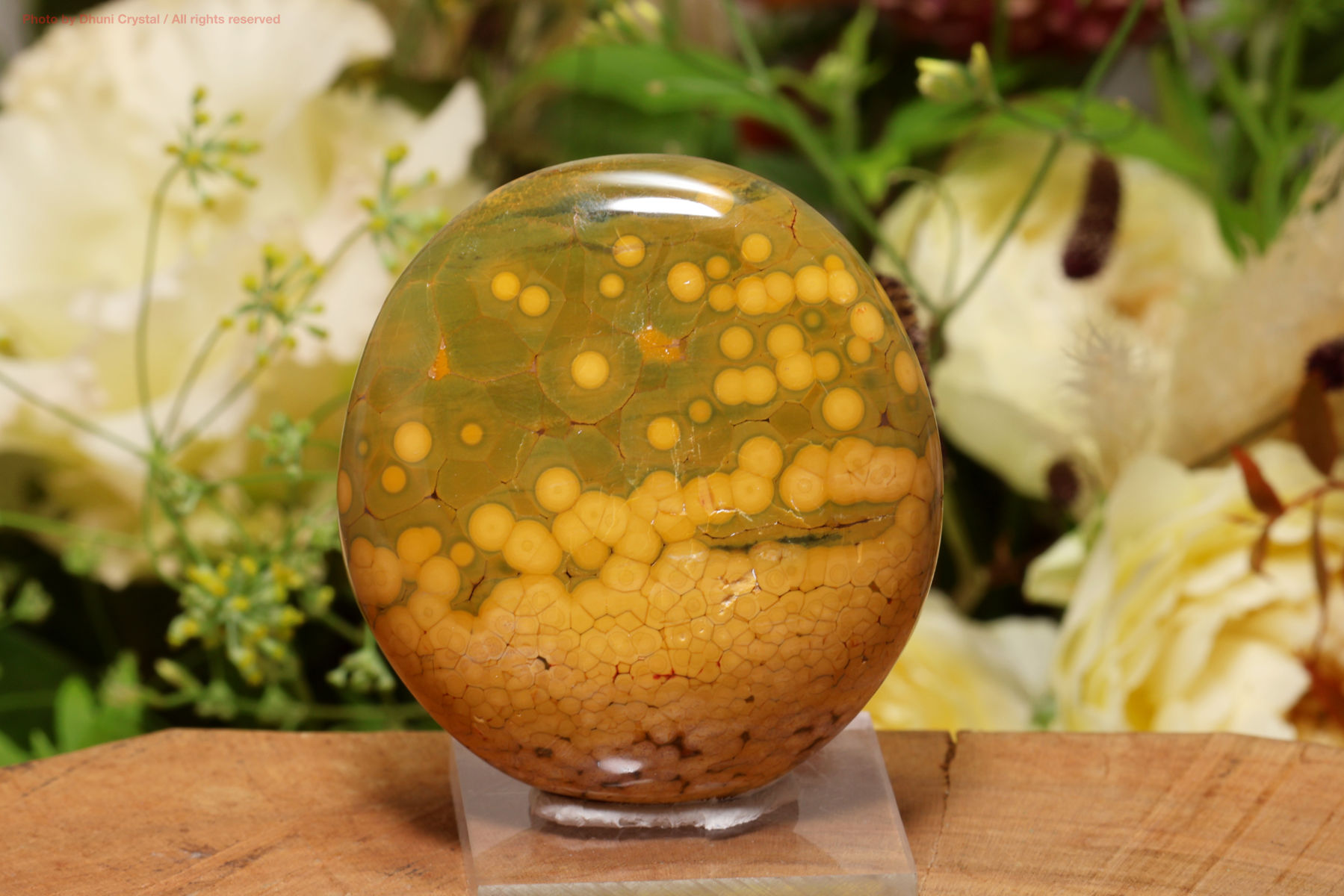 カバンビー・オーシャンジャスパー(T632)