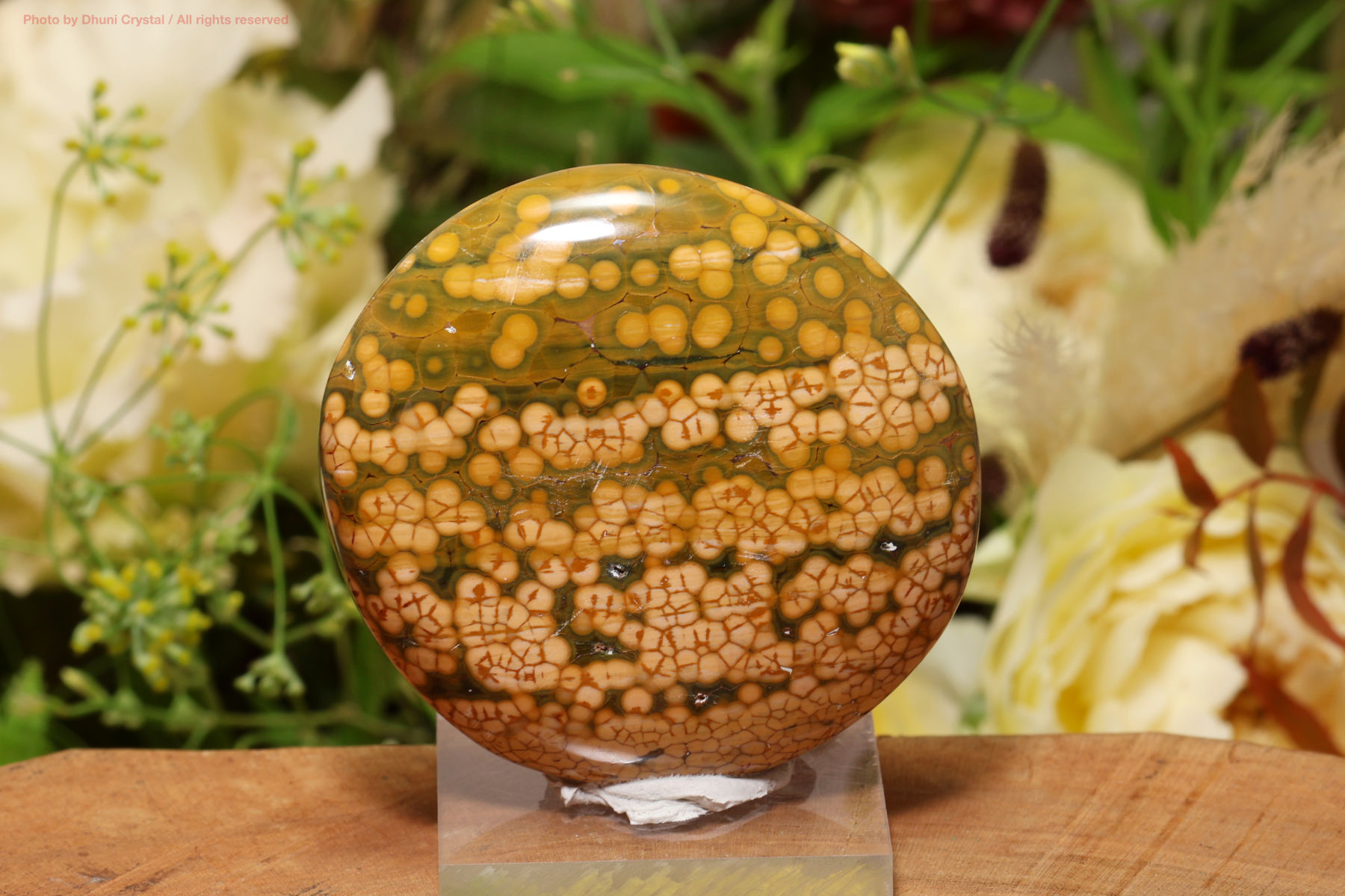 カバンビー・オーシャンジャスパー(T634)