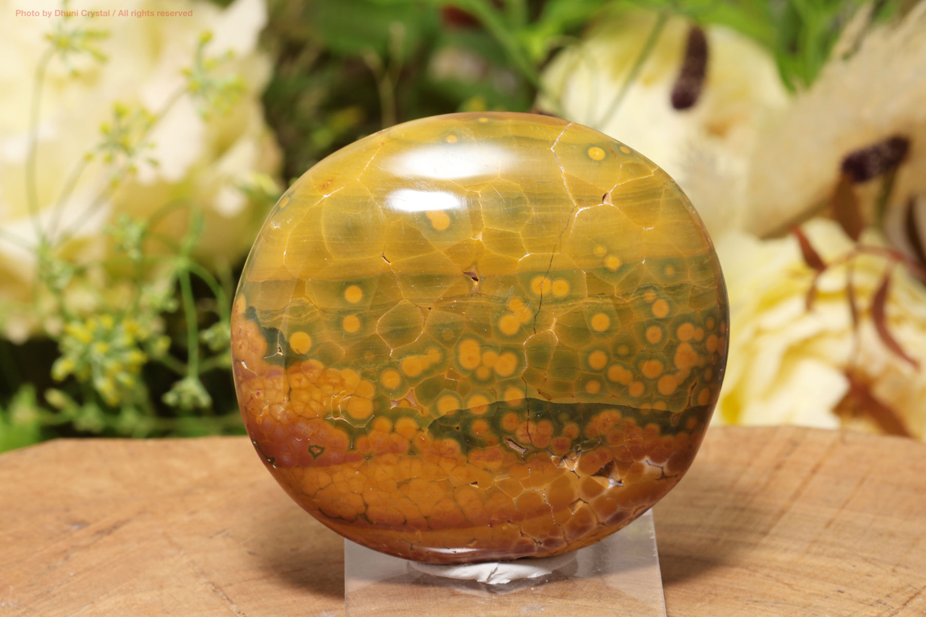 カバンビー・オーシャンジャスパー(T635)