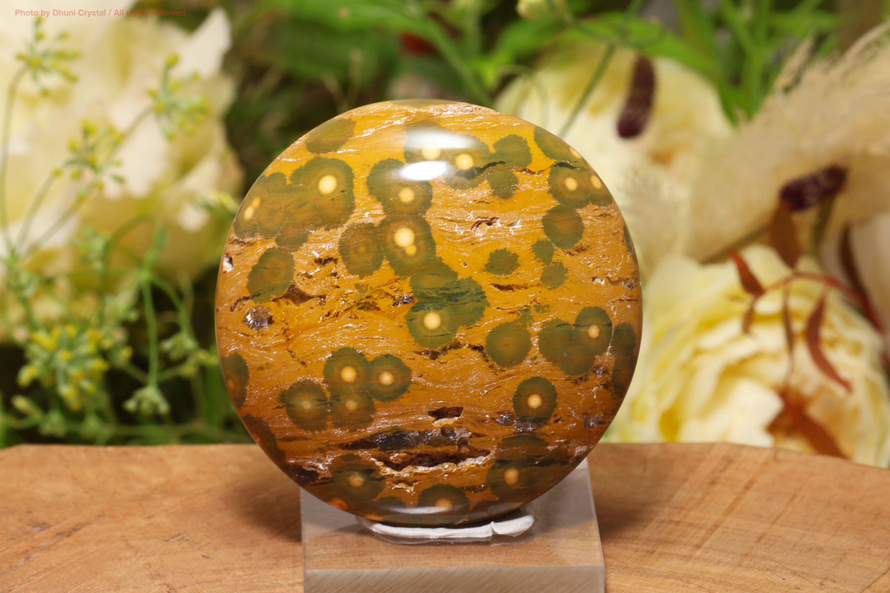 カバンビー・オーシャンジャスパー(T637)