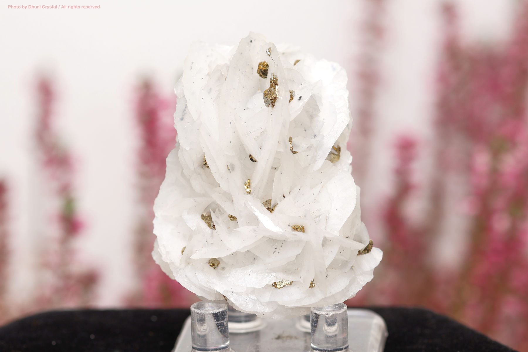 カルサイト/チャルコパイライト/共生鉱物(T642)