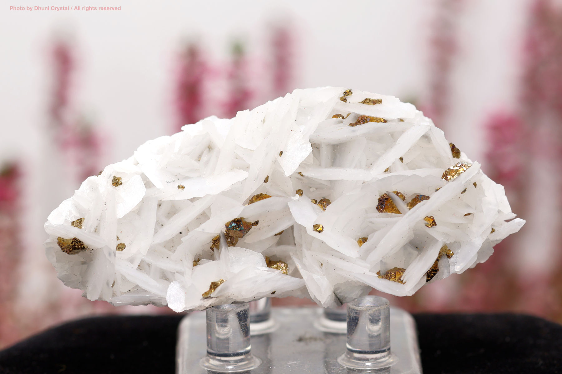 カルサイト/チャルコパイライト/共生鉱物(T644)