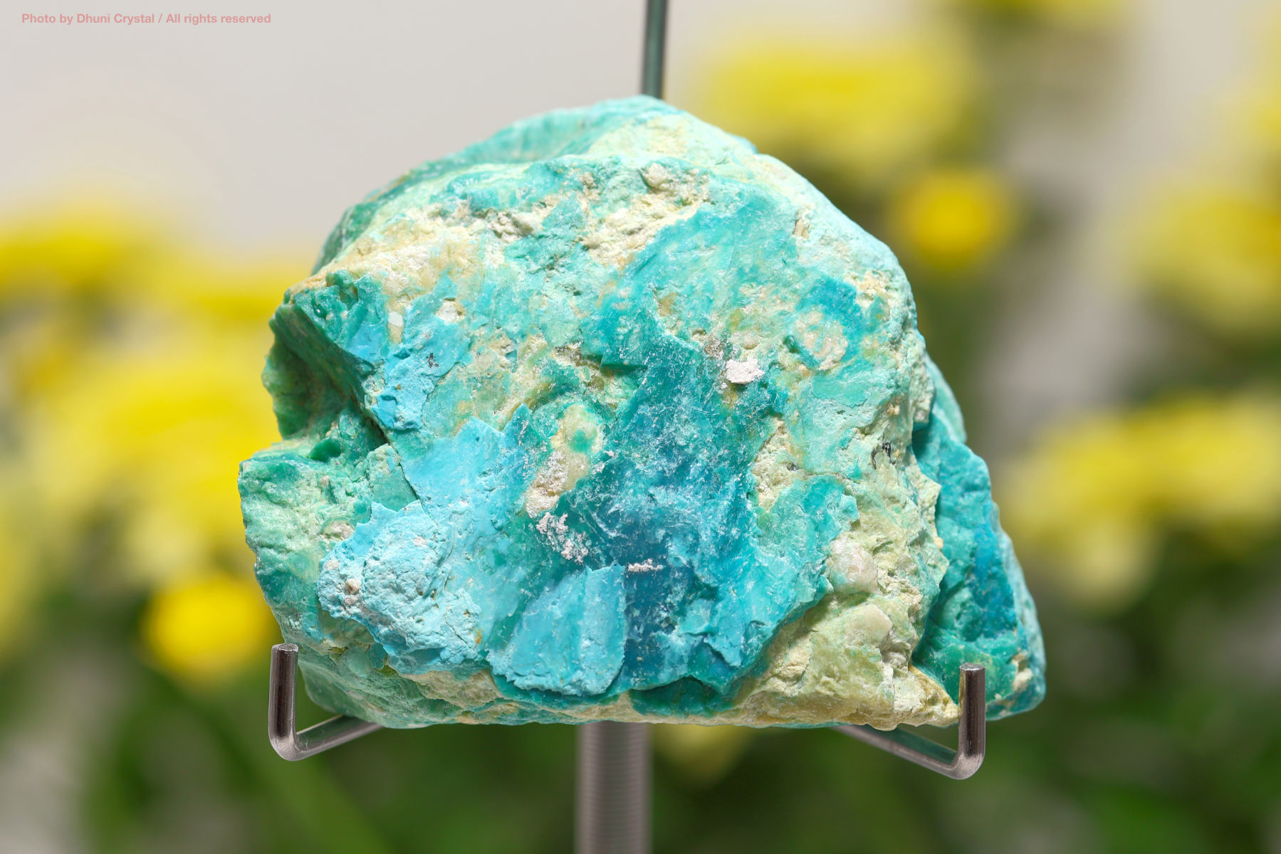 ブルーオパール原石(T647)