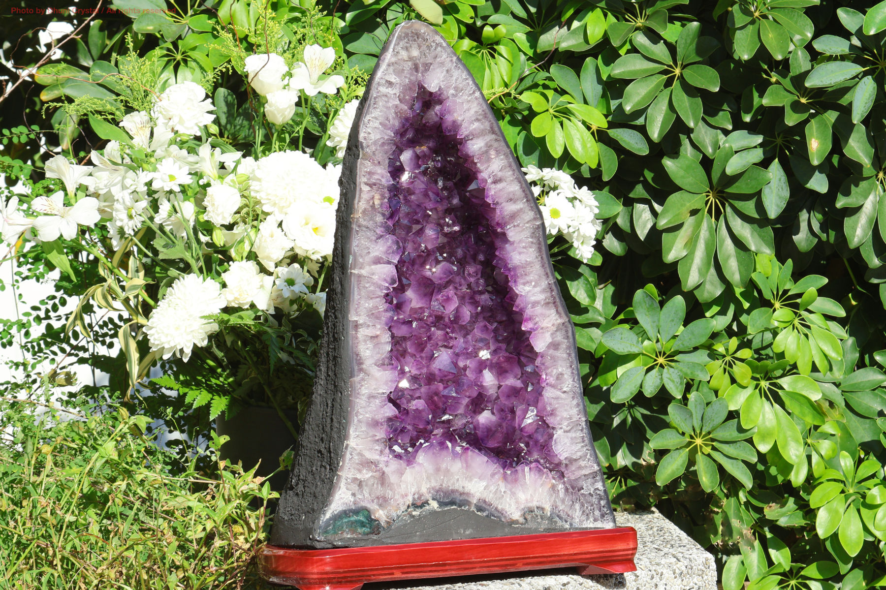 アメジストジオード/カペラ/木製スタンド付き(T682)