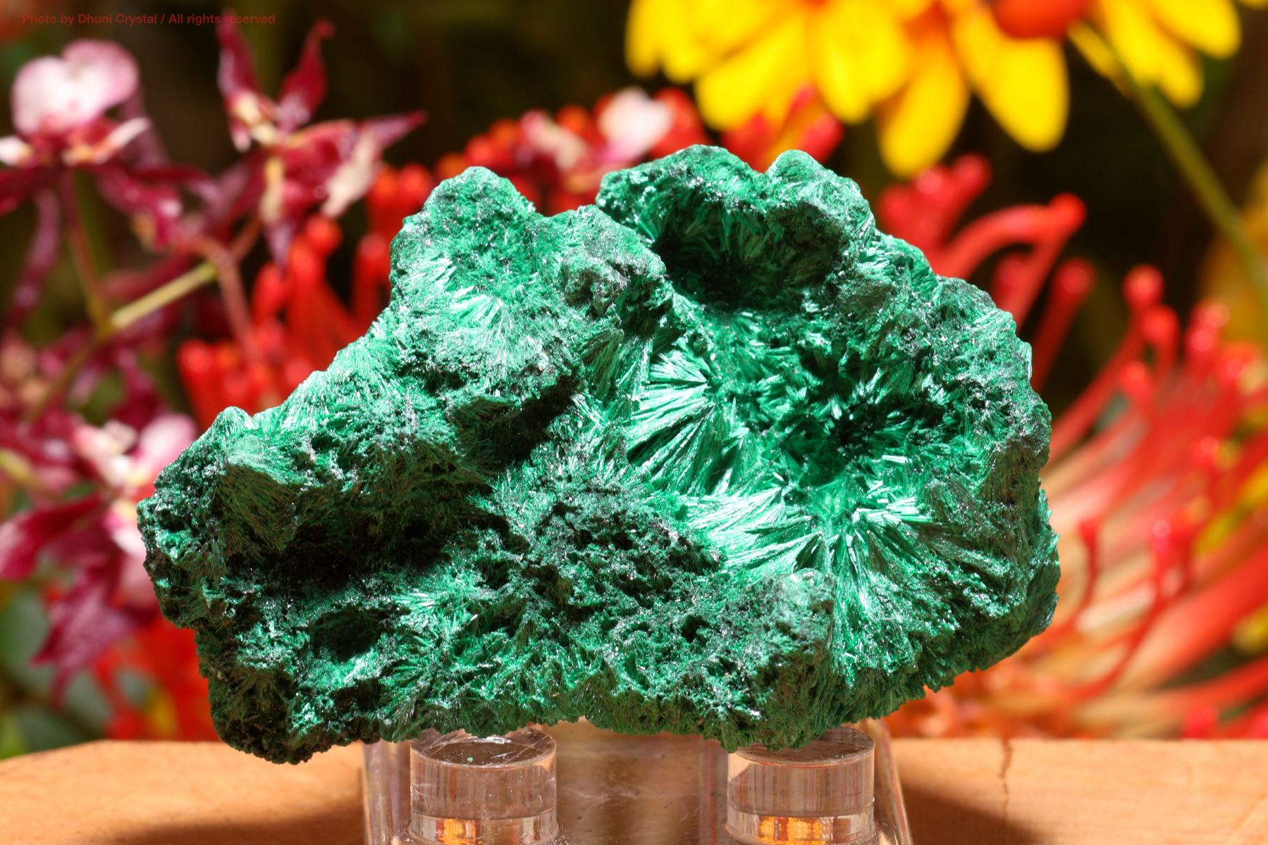 シルキー・マラカイト/絹状原石(T695)