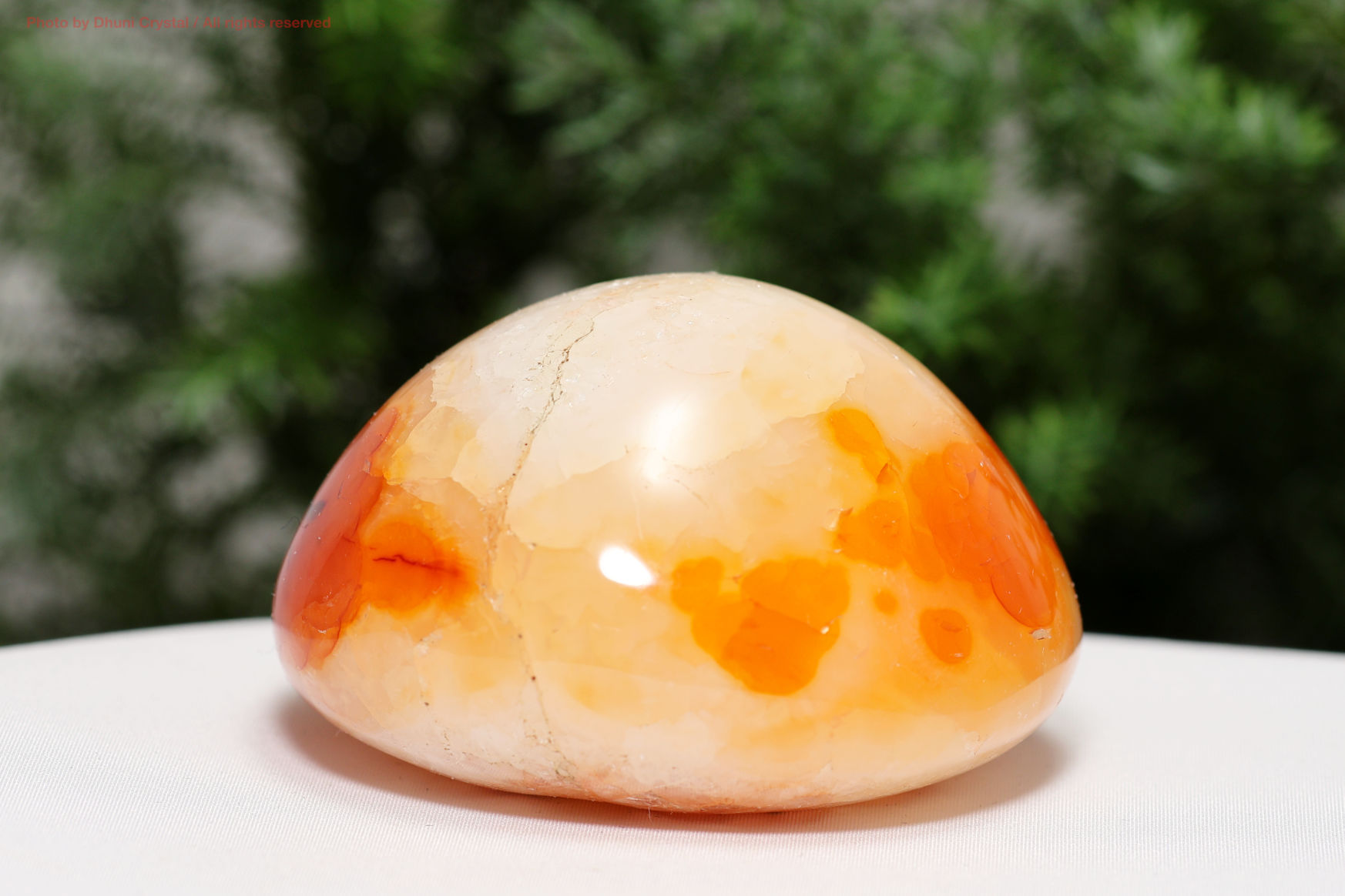 カーネリアン(T707)