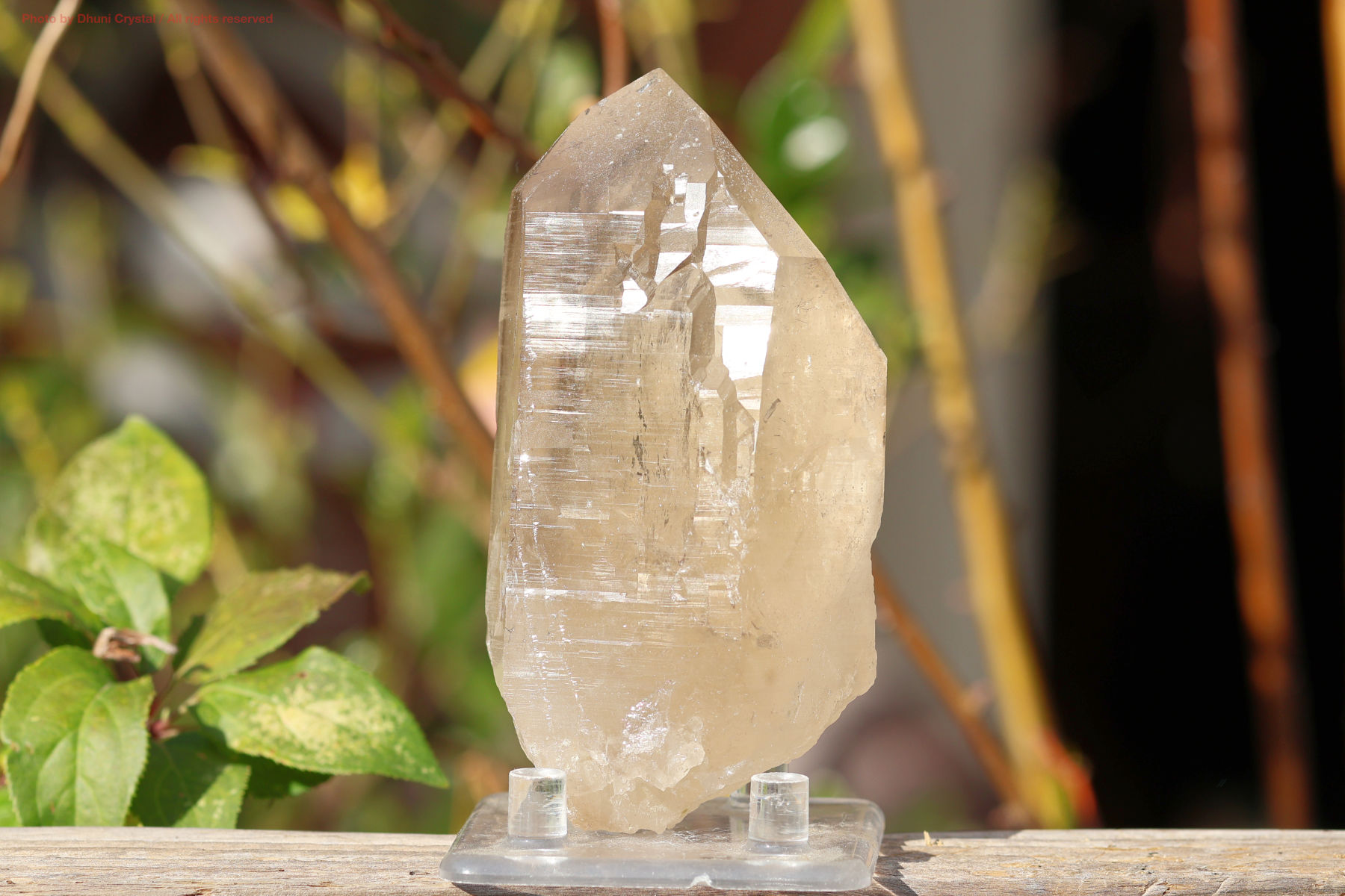 天然シトリン原石(T849)