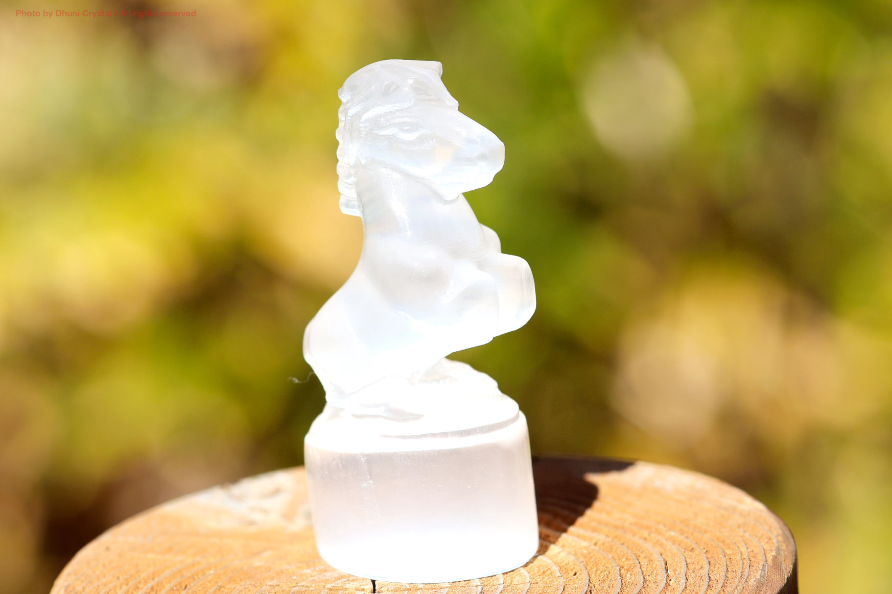 セレナイトのお馬さん(T946)