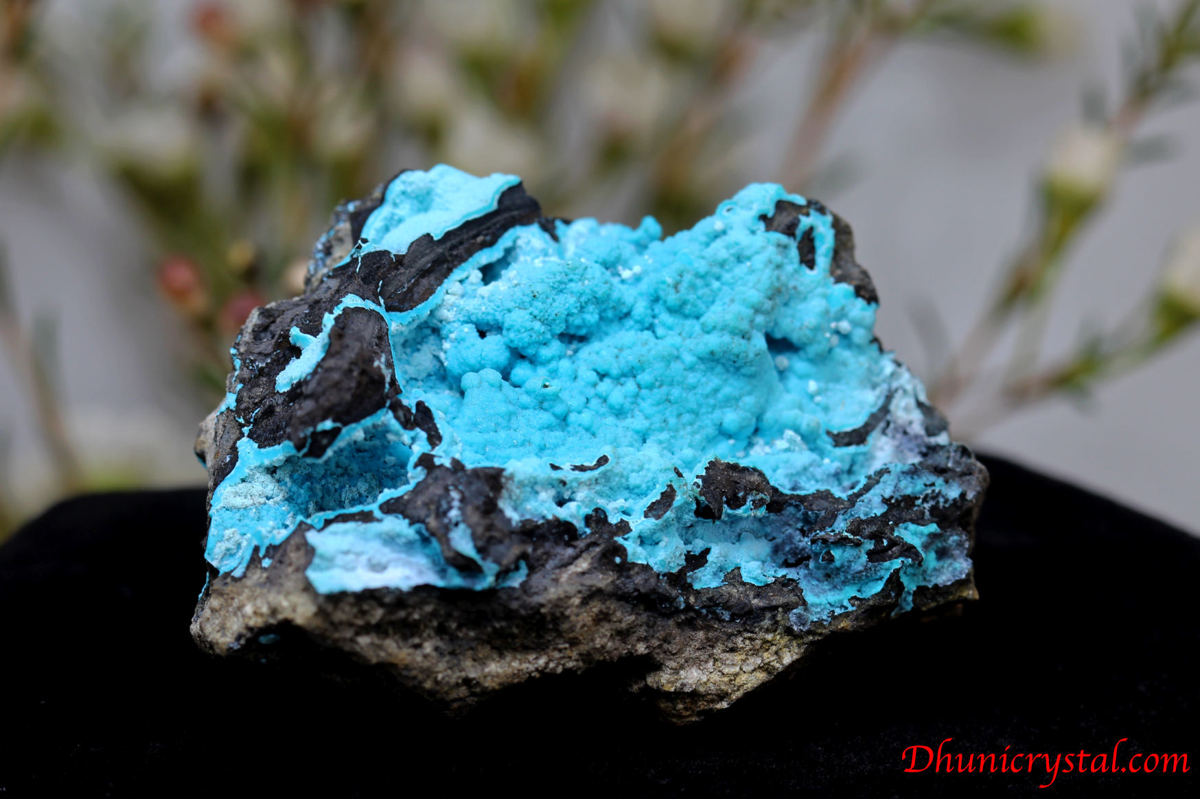 約100g以上あり‼️金運を呼ぶ‼️アメリカ産 クリソコラ 原石 アメリカ アリゾナ州 Planet Mine産 クリソコラの原石 No.1 - cute stone -