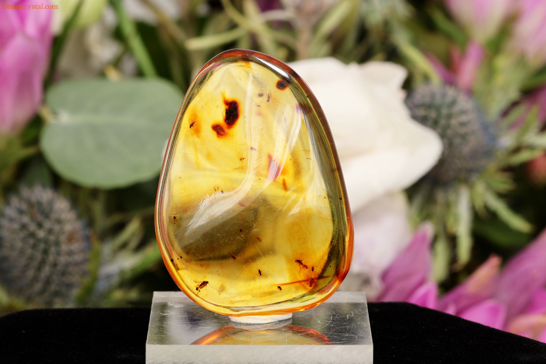 【SOLDOUT!】 コロンビアン・アンバー/虫さん入り(W349)