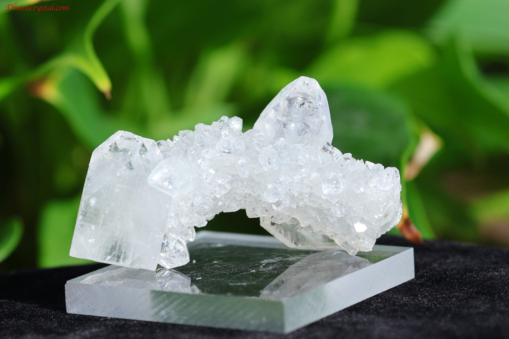 【SOLDOUT】アポフィライト原石(W814)