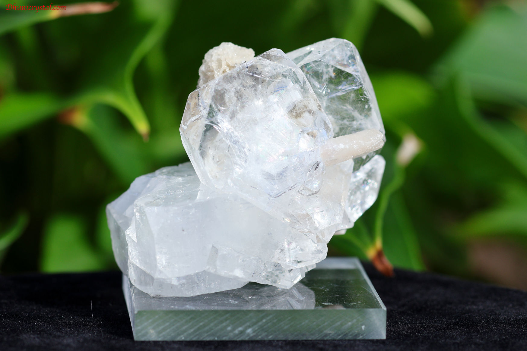 【SOLDOUT】アポフィライト原石スティルバイト共生(W815)