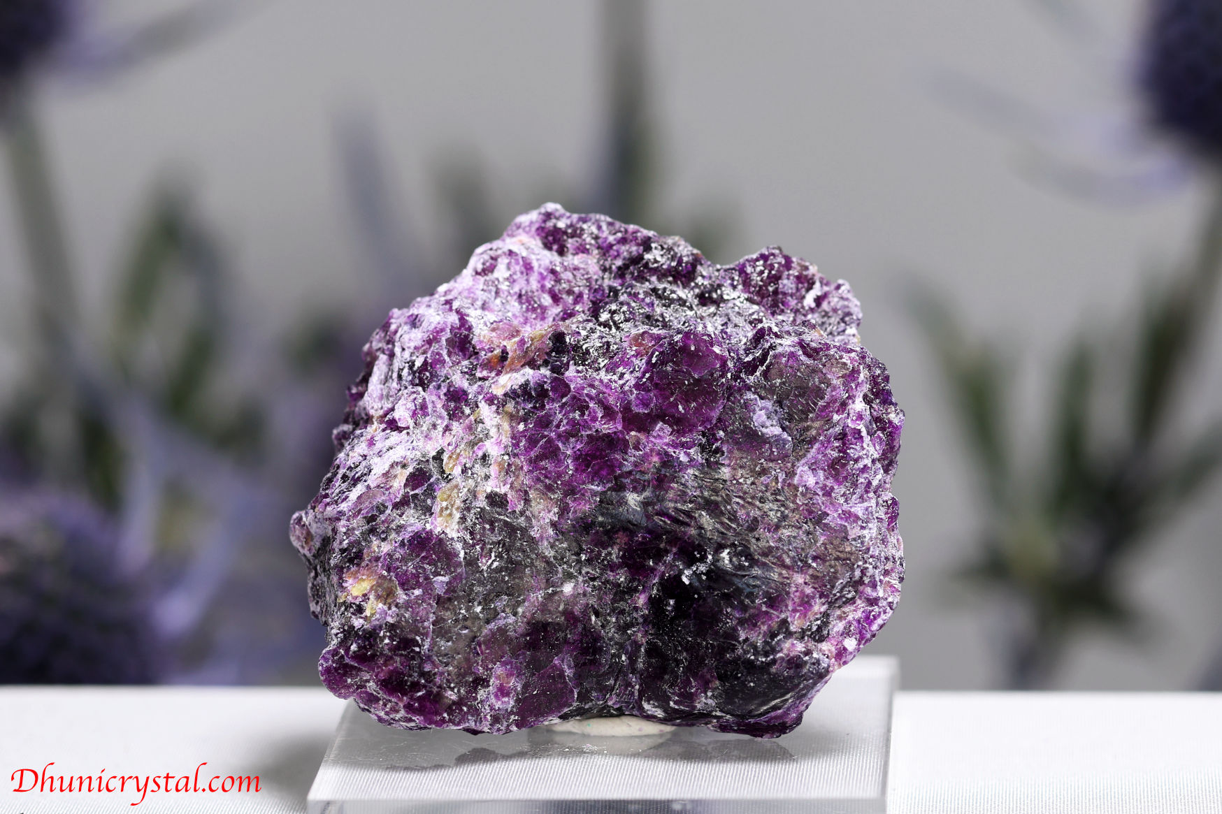 アイオワイト(W935)