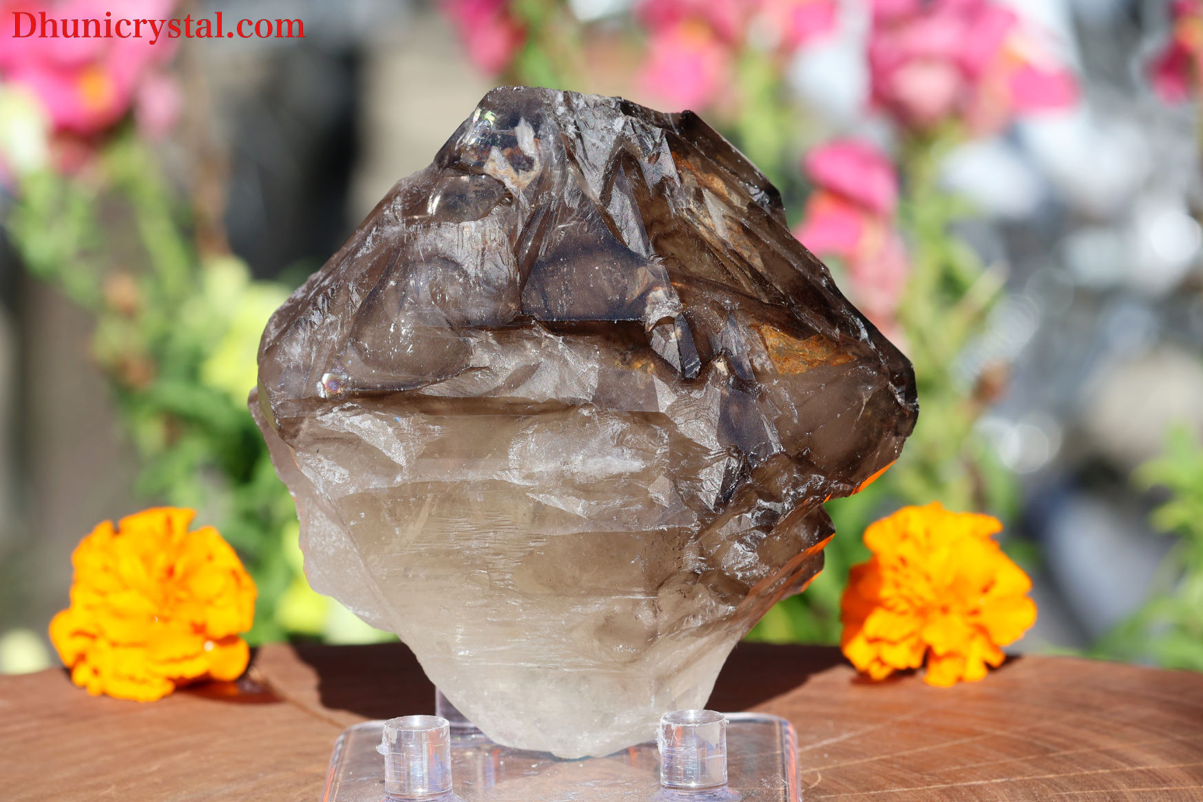 スモーキー・エレスチャル/ジャカレー(W95)