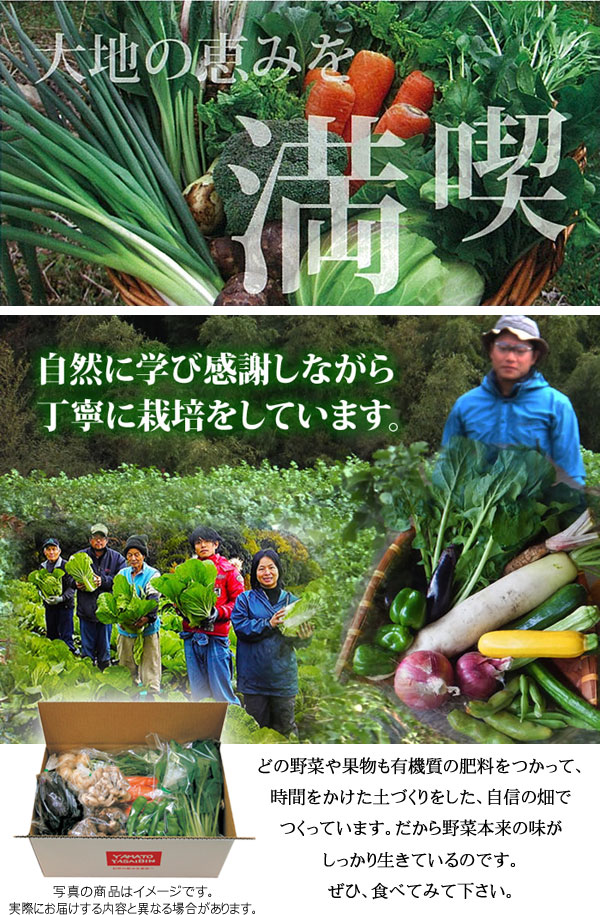 どの野菜も果物も有機質の肥料をつかって時間をかけた土づくりをした自身の畑でつくっています