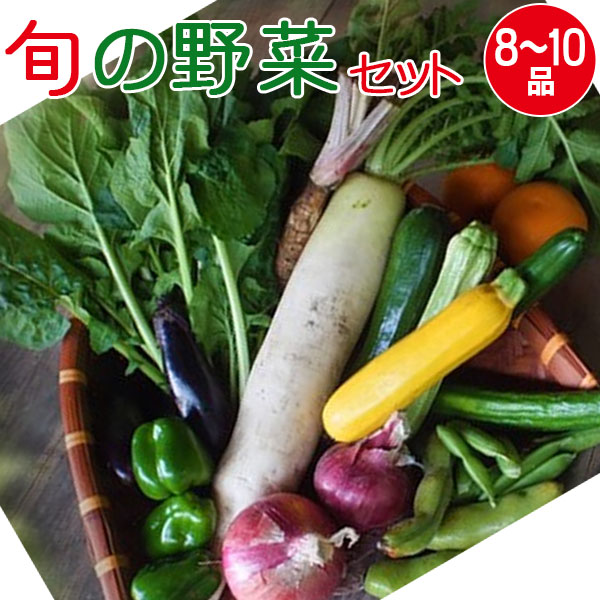 産地直送 旬の野菜セット（8～10品目）