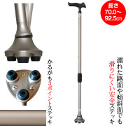 かるがも3ポイントステッキ