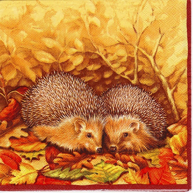 Hedgehog