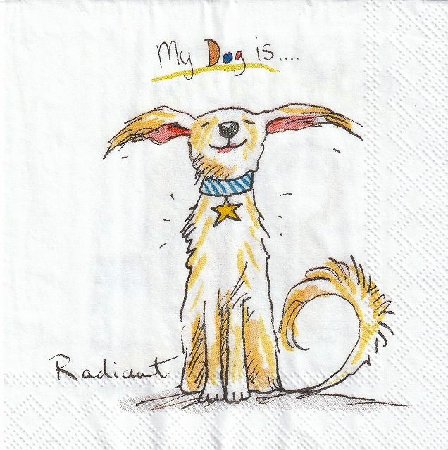 カクテルサイズ５枚組＊Dogs