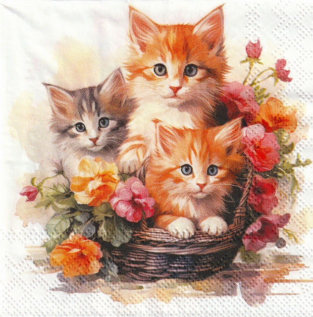 カクテルサイズ５枚組＊Kittens in basket