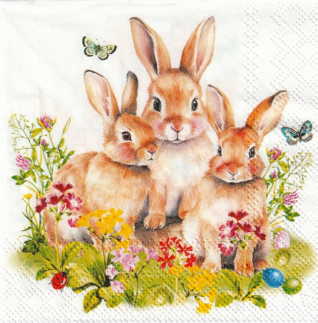 カクテルサイズ５枚組＊Bunny Family