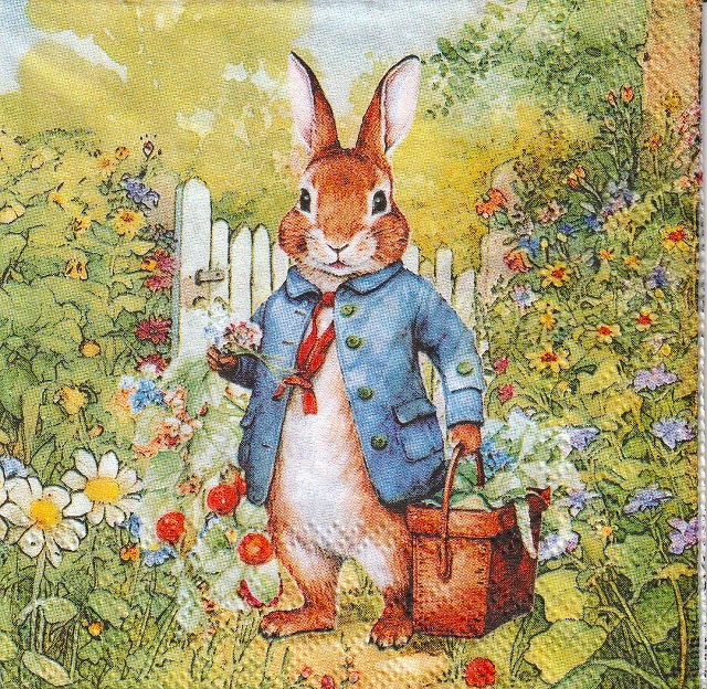 カクテルサイズ５枚組＊Mr.Rabbit