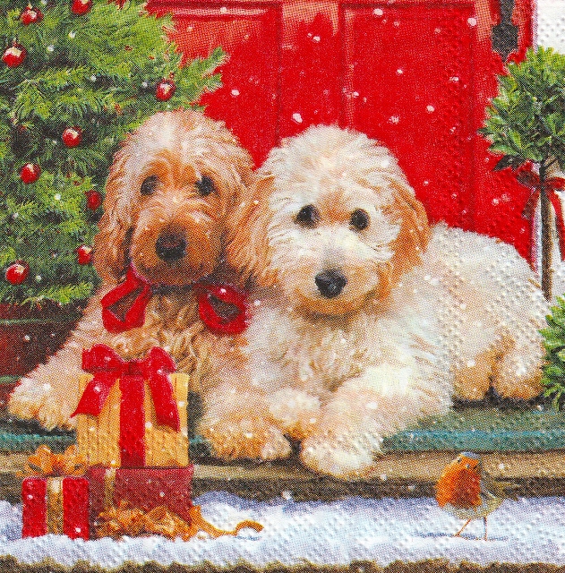 カクテルサイズ５枚組＊Dogs at the door