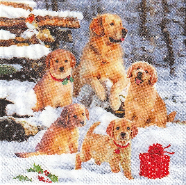 カクテルサイズ５枚組＊Puppies