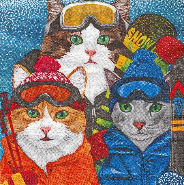 カクテルサイズ５枚組＊Ski Cats