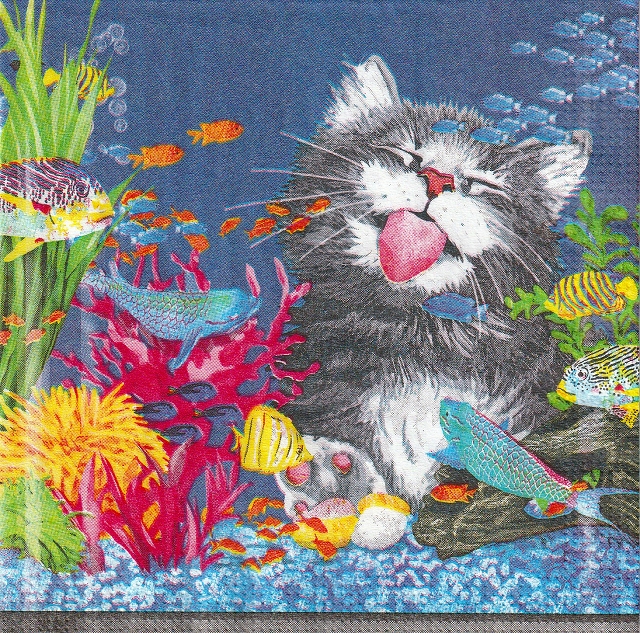 カクテルサイズ５枚組＊Go Fish...