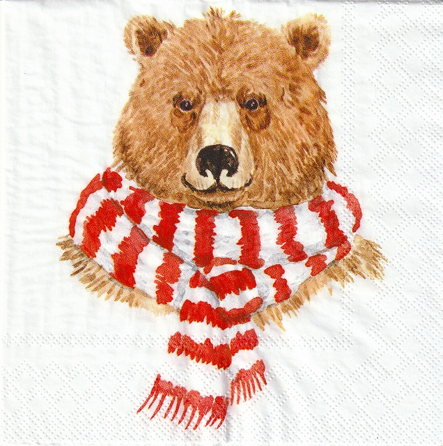 ５枚組ペーパーナプキン＊Brown Bear
