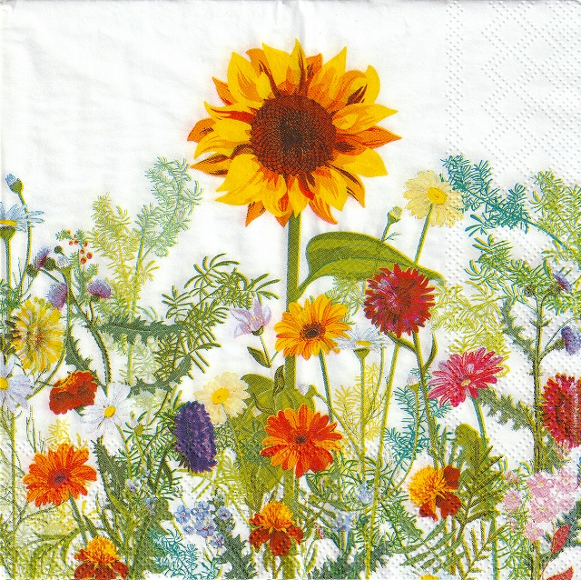 ５枚組ペーパーナプキン＊Wild Sunflower