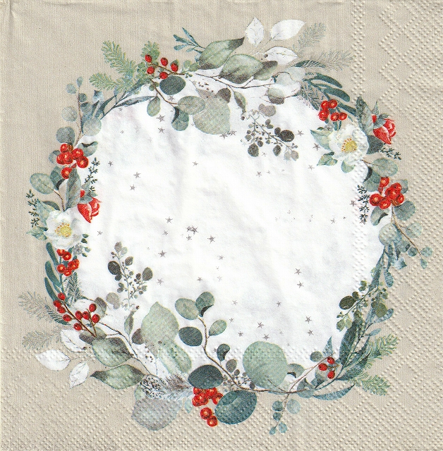 ５枚組ペーパーナプキン＊フェリーナ